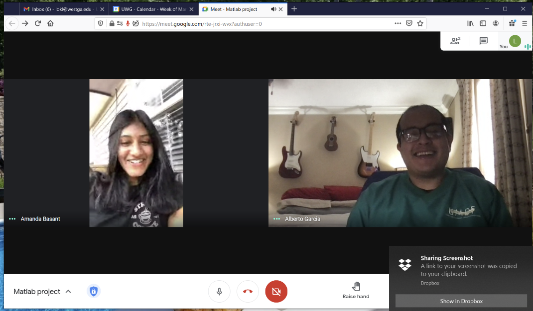 Research students in a virtual meeting