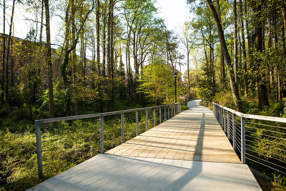 boardwalk through trees