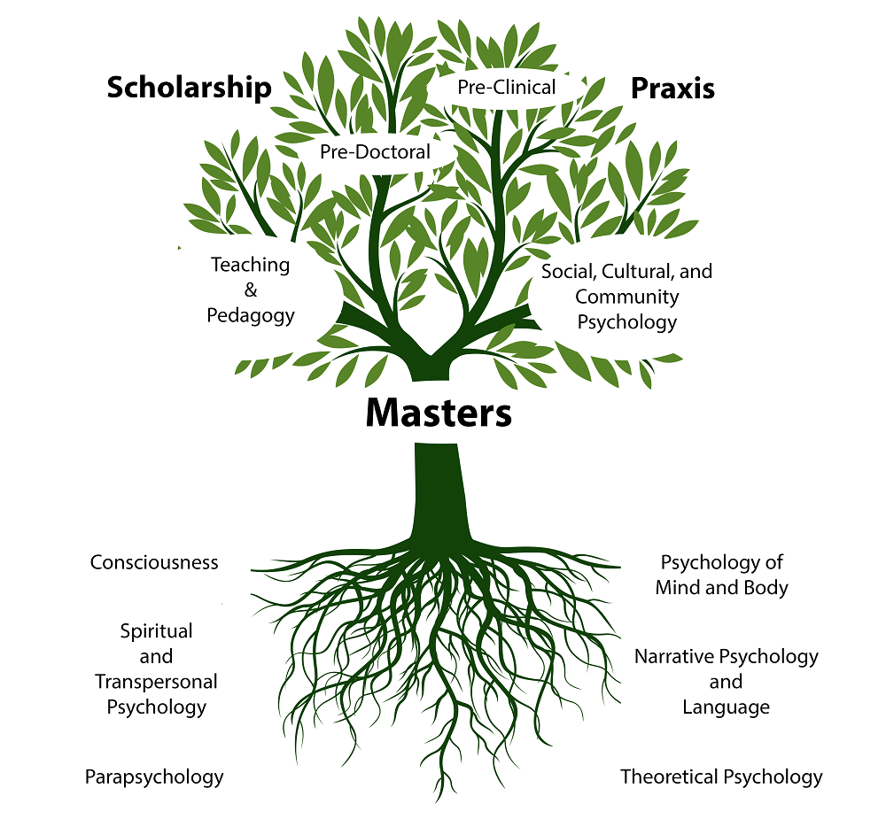 masters degree path tree