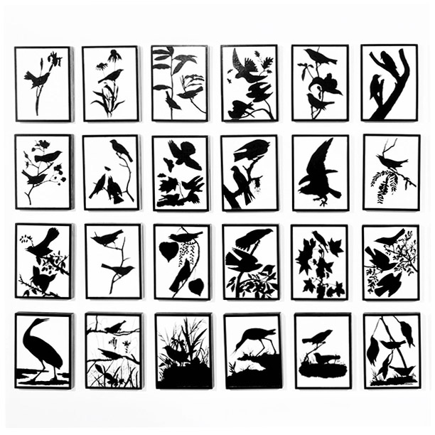 silhouttes of a variety of birds