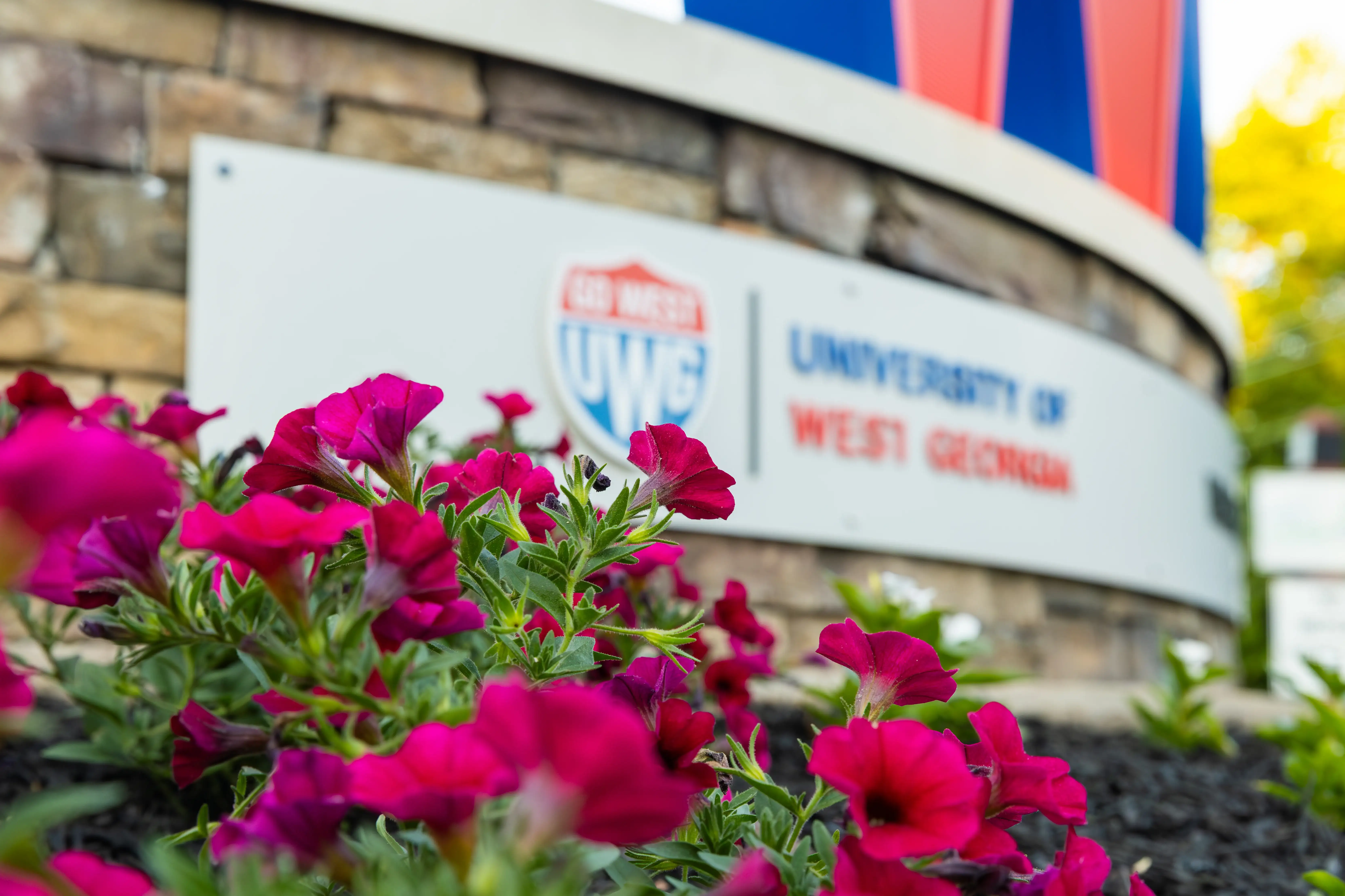 Main entrance signage with pink flowers and the UWG sign leading into campus.