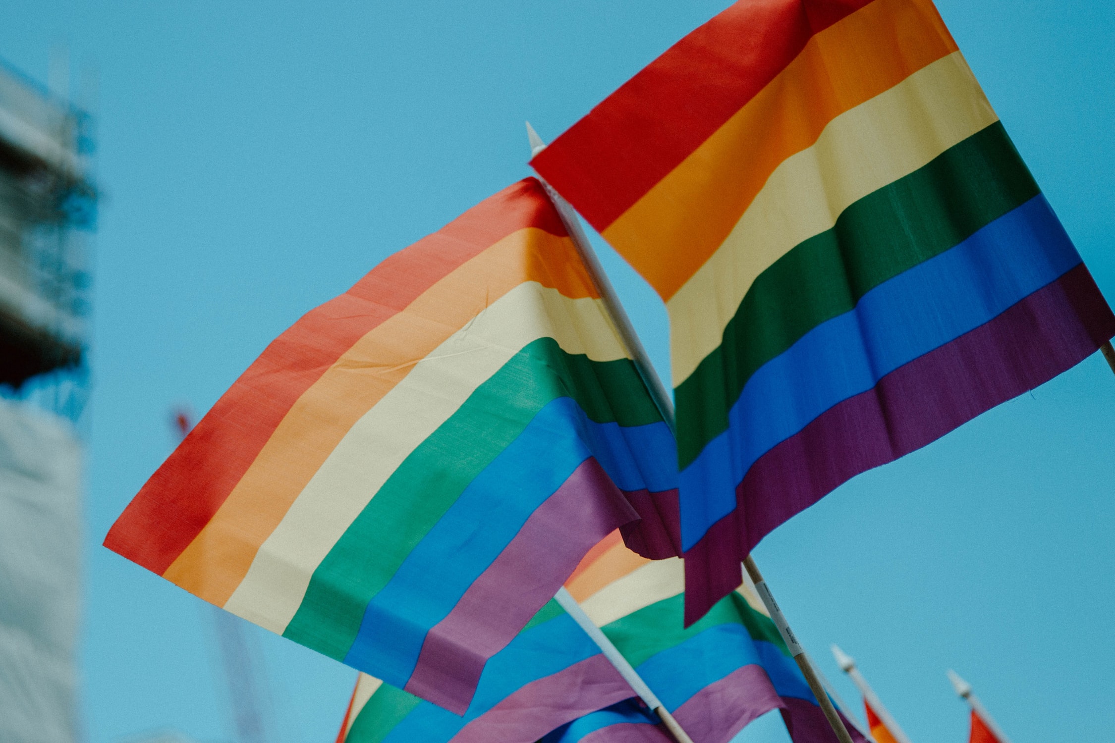 rainbow flags