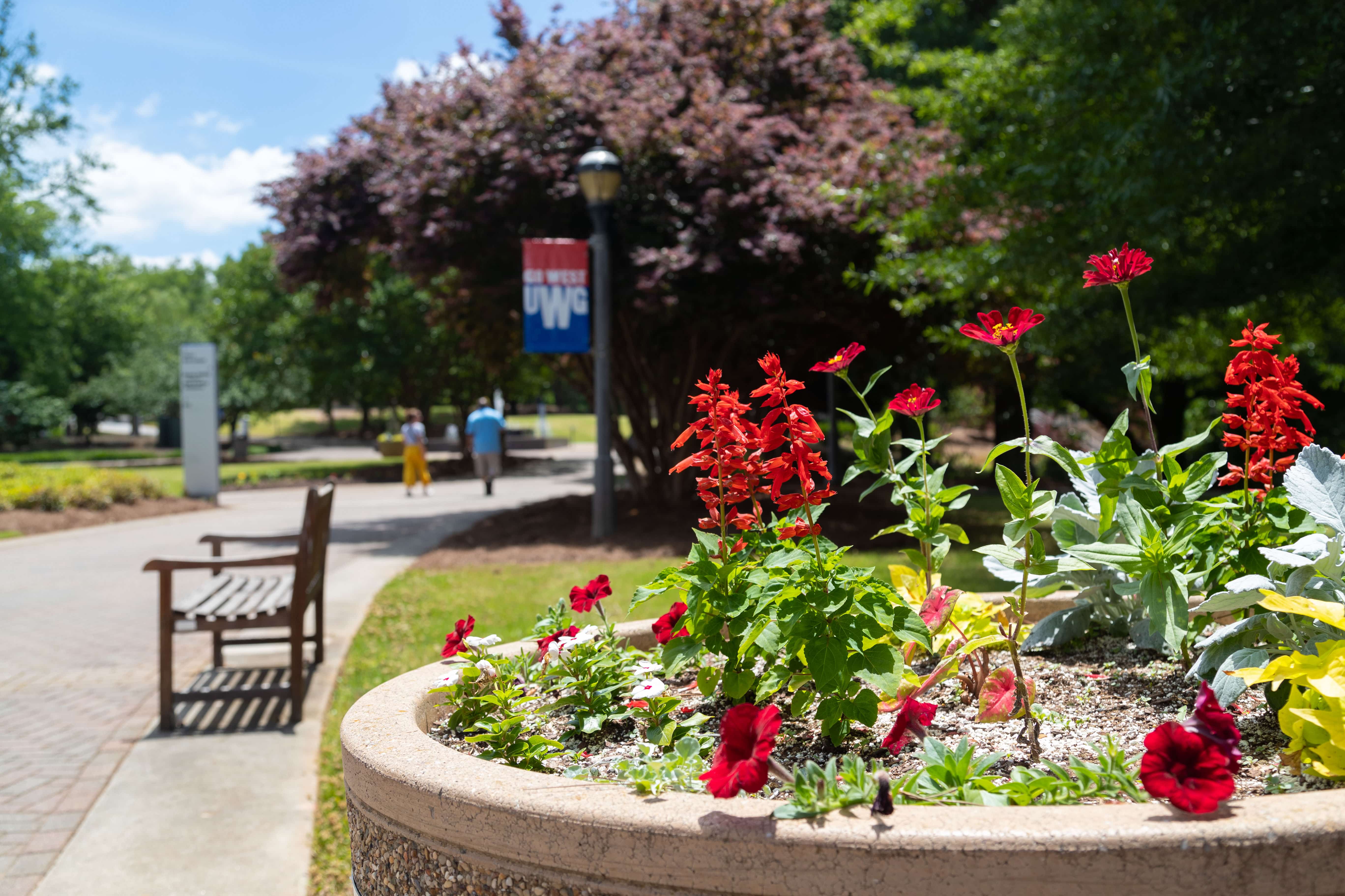 Flowers on campus.