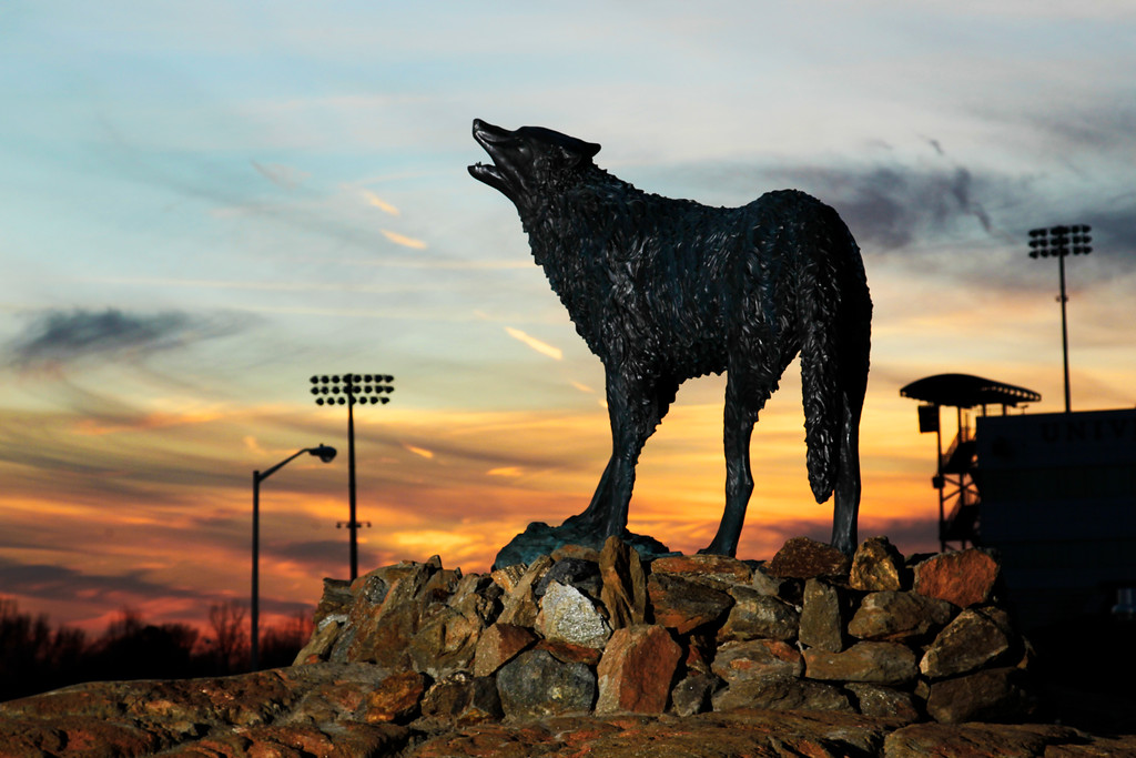 Wolf statue