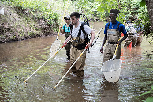 Young people participating in a river cleanup