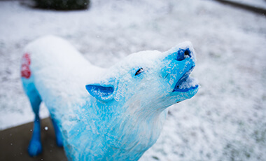 The University of West Georgia wishes all a happy holiday season and a joyous new year. Here is a list of important upcoming dates through January 2020.