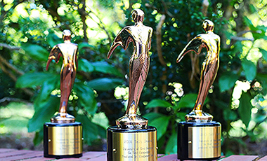 The University of West Georgia’s Office of University Communications and Marketing was recently awarded its third national Telly award. This year, UWG was awarded a bronze Telly in the Local TV Campaign Not-for-Profit category for the “Go West” television campaign.