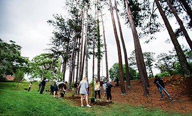 The University of West Georgia has been named a Tree Campus USA honoree for the seventh consecutive year.