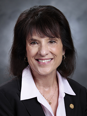 Laura Caramanica, PhD, RN, CENP, FACHE, FAAN, CNE