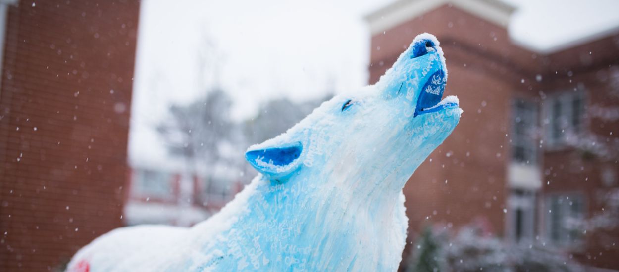 Wolf statue with snow